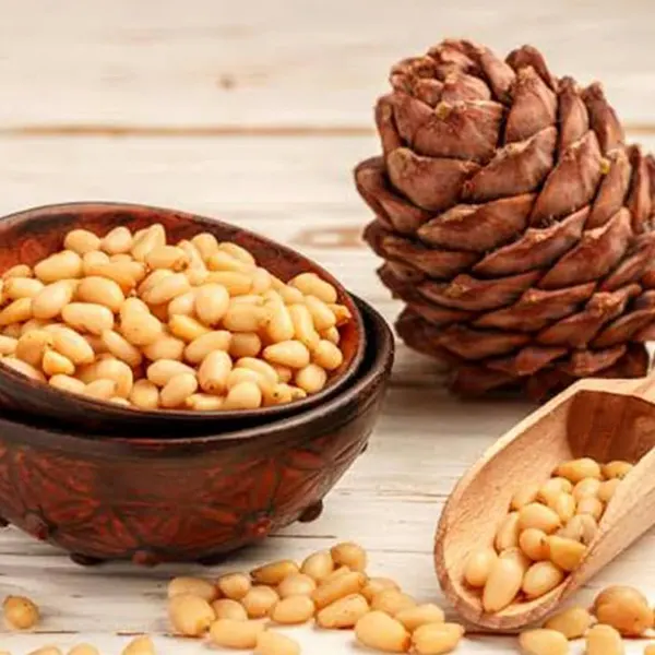 Pine Nut