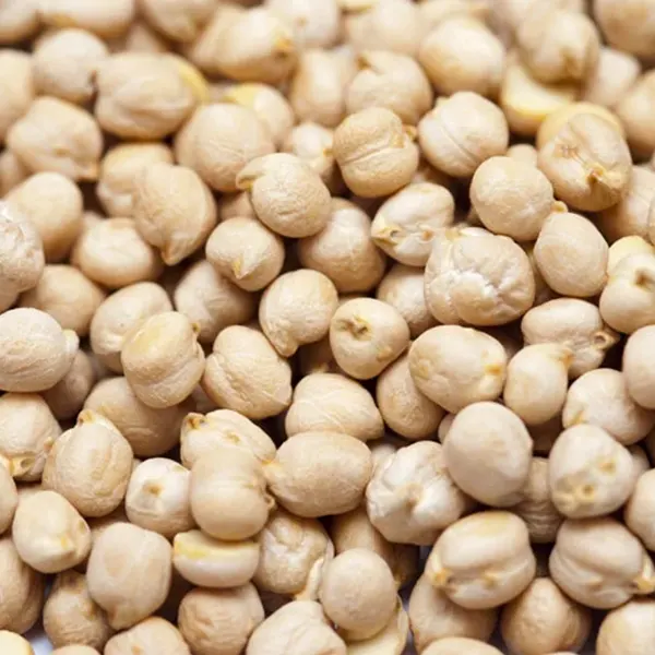 Raw Chickpeas