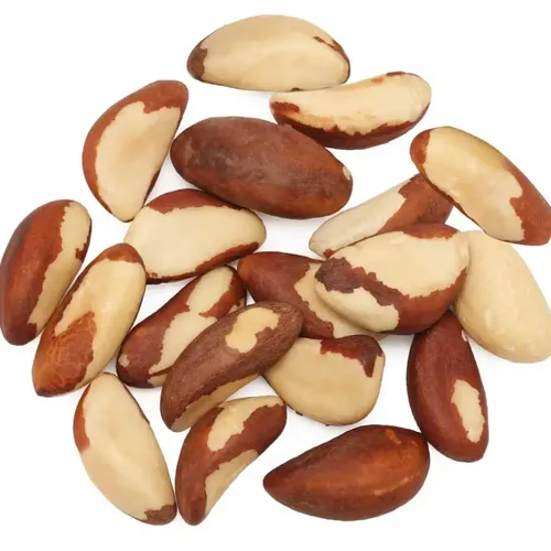 Brazil Nut