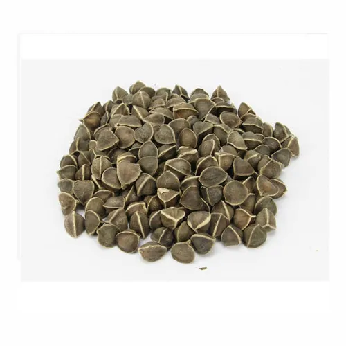 Moringa Seeds